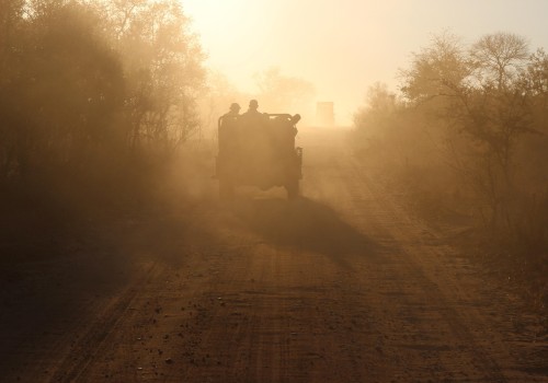 Car Rental in Kailua-Kona: A Smarter Alternative to Executive Transportation Services